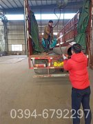 湖南导热油炉