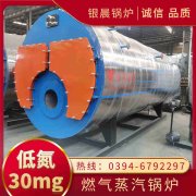 20吨低氮冷凝蒸汽锅炉世界杯网站平台站线登录入口,世界杯(中国)
