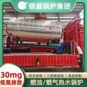 蒸汽锅炉 燃煤锅炉