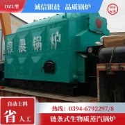 燃甲醇锅炉