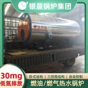 CWNS0.49-85/60-QY锅炉
