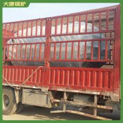 重庆0.8mw低氮导油炉